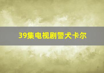 39集电视剧警犬卡尔