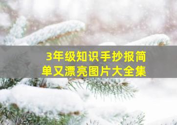 3年级知识手抄报简单又漂亮图片大全集