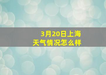 3月20日上海天气情况怎么样