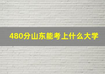 480分山东能考上什么大学