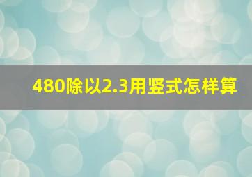 480除以2.3用竖式怎样算