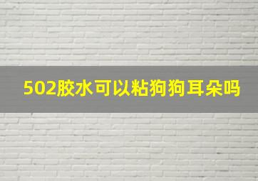 502胶水可以粘狗狗耳朵吗