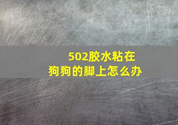 502胶水粘在狗狗的脚上怎么办