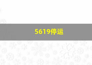 5619停运