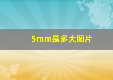 5mm是多大图片