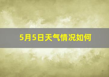 5月5日天气情况如何