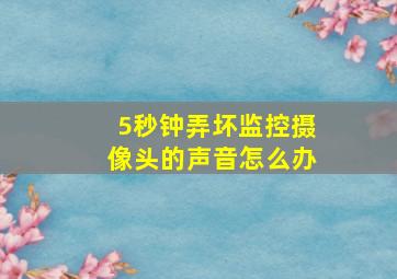 5秒钟弄坏监控摄像头的声音怎么办