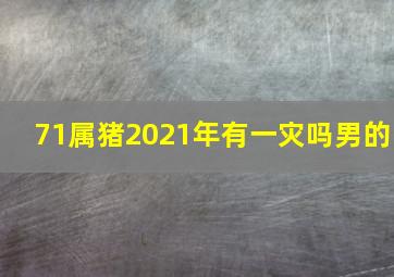 71属猪2021年有一灾吗男的