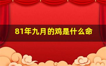 81年九月的鸡是什么命