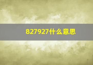 827927什么意思