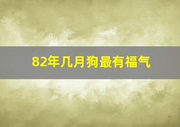 82年几月狗最有福气