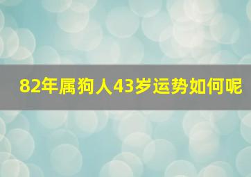 82年属狗人43岁运势如何呢