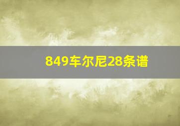 849车尔尼28条谱