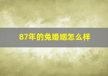 87年的兔婚姻怎么样