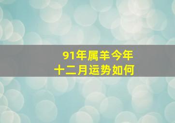 91年属羊今年十二月运势如何