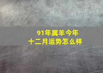 91年属羊今年十二月运势怎么样