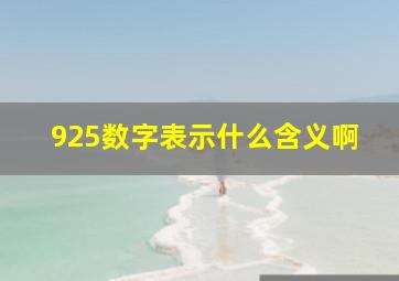 925数字表示什么含义啊