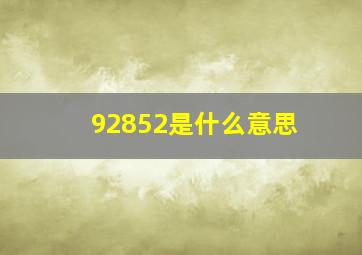 92852是什么意思