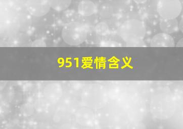 951爱情含义