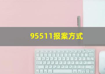 95511报案方式