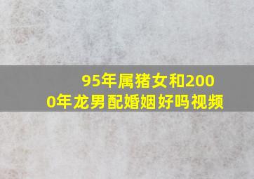 95年属猪女和2000年龙男配婚姻好吗视频