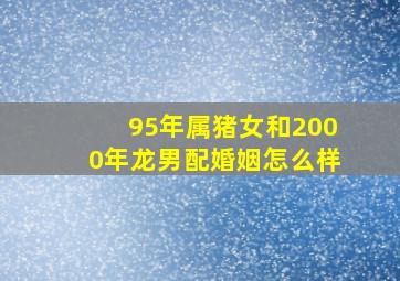 95年属猪女和2000年龙男配婚姻怎么样