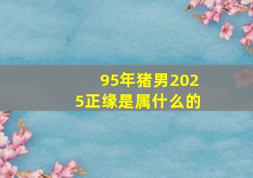 95年猪男2025正缘是属什么的