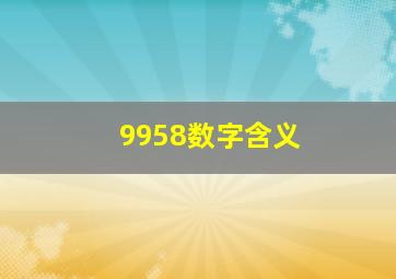 9958数字含义