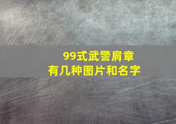 99式武警肩章有几种图片和名字