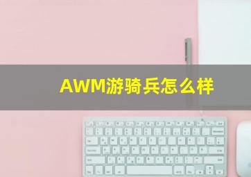 AWM游骑兵怎么样