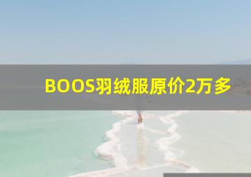 BOOS羽绒服原价2万多