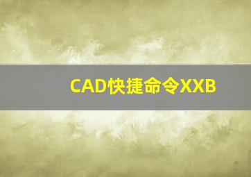 CAD快捷命令XXB