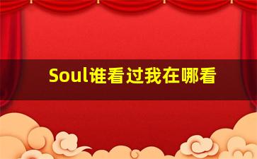 Soul谁看过我在哪看