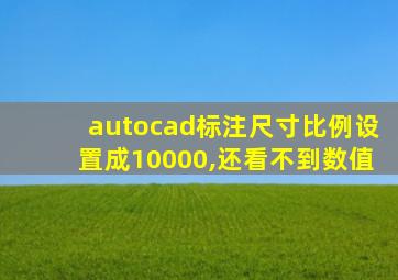 autocad标注尺寸比例设置成10000,还看不到数值