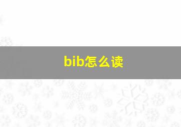 bib怎么读