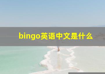 bingo英语中文是什么