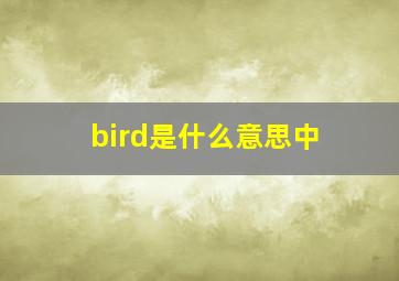 bird是什么意思中