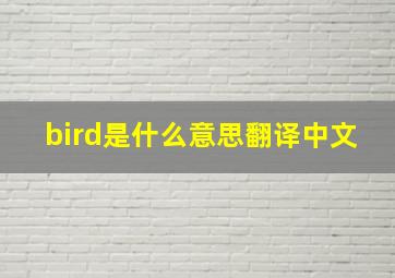 bird是什么意思翻译中文