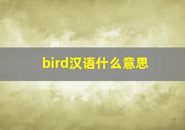 bird汉语什么意思