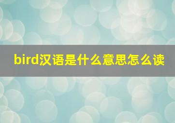 bird汉语是什么意思怎么读