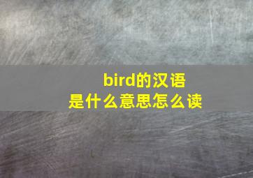 bird的汉语是什么意思怎么读