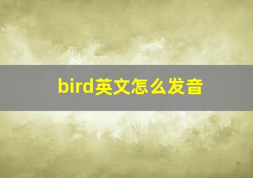 bird英文怎么发音