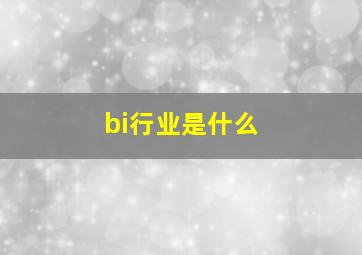 bi行业是什么