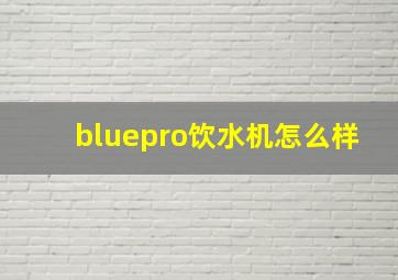 bluepro饮水机怎么样