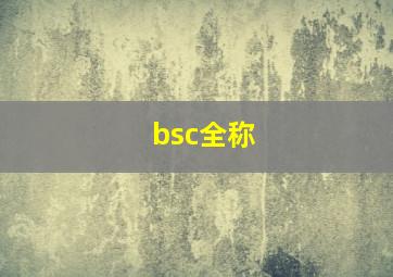 bsc全称