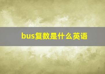 bus复数是什么英语