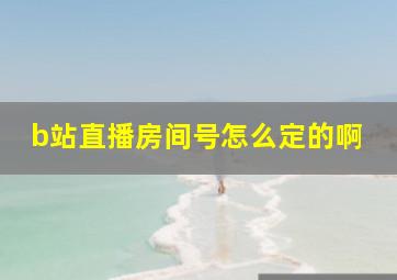 b站直播房间号怎么定的啊