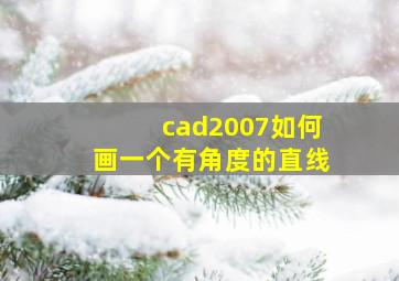 cad2007如何画一个有角度的直线