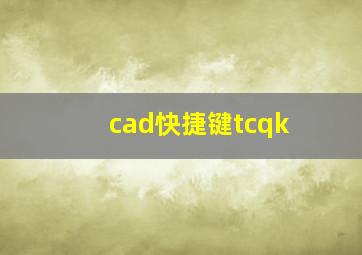 cad快捷键tcqk