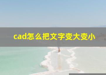 cad怎么把文字变大变小